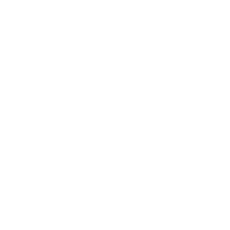 Loop Solutions